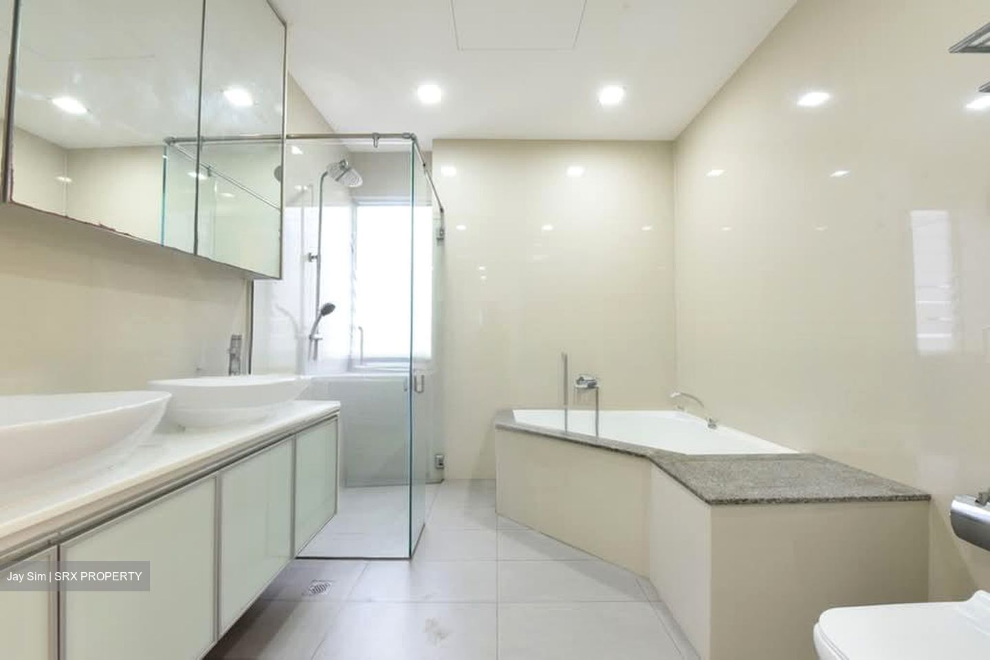 Regency Park (D10), Condominium #596859101